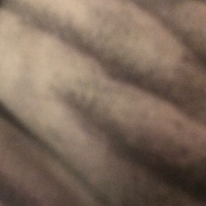 Meet your Posher, Bailey